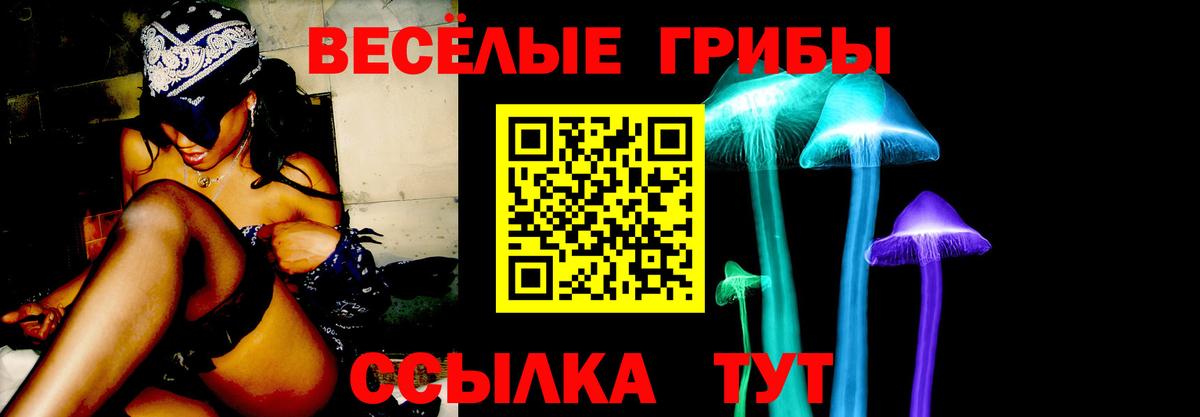 где найти наркотики  Галлюциногенные грибы прущие грибы  Вход с VPN  Алейск 