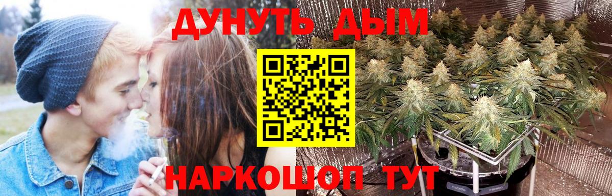 Каннабис ГИДРОПОН Алейск